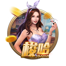 天堂视频电脑免费版