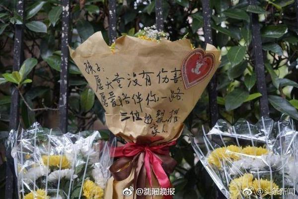 近10年全美第1高中生现状如何？华子起飞 两人水了 约什成就☘️